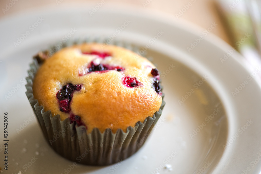 Homemade bluebberry muffins Homemade bluebberry muffins