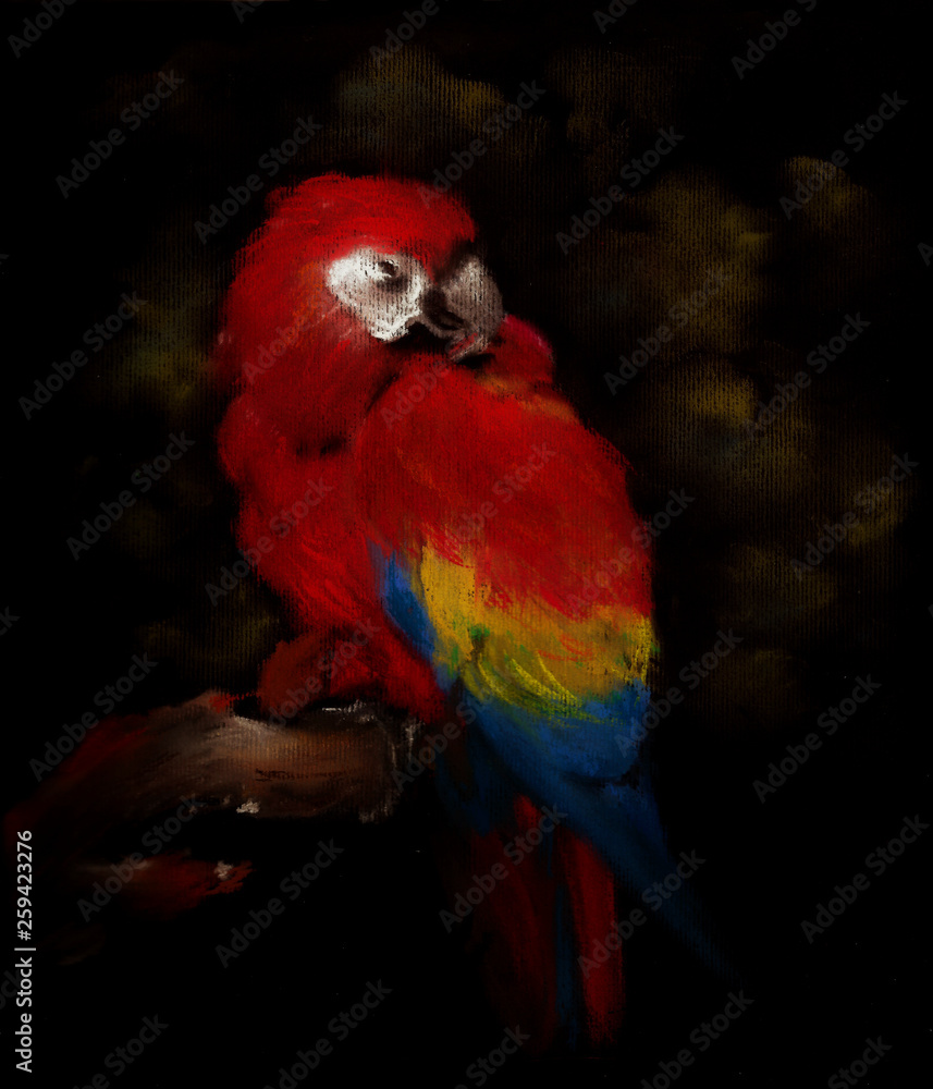 Macaw Pastel Hand paiting 