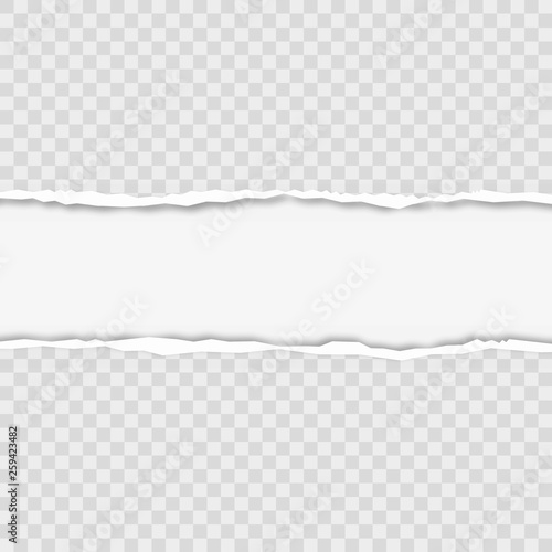 Ripped squared horizontal grey paper strips for text or message. Vector