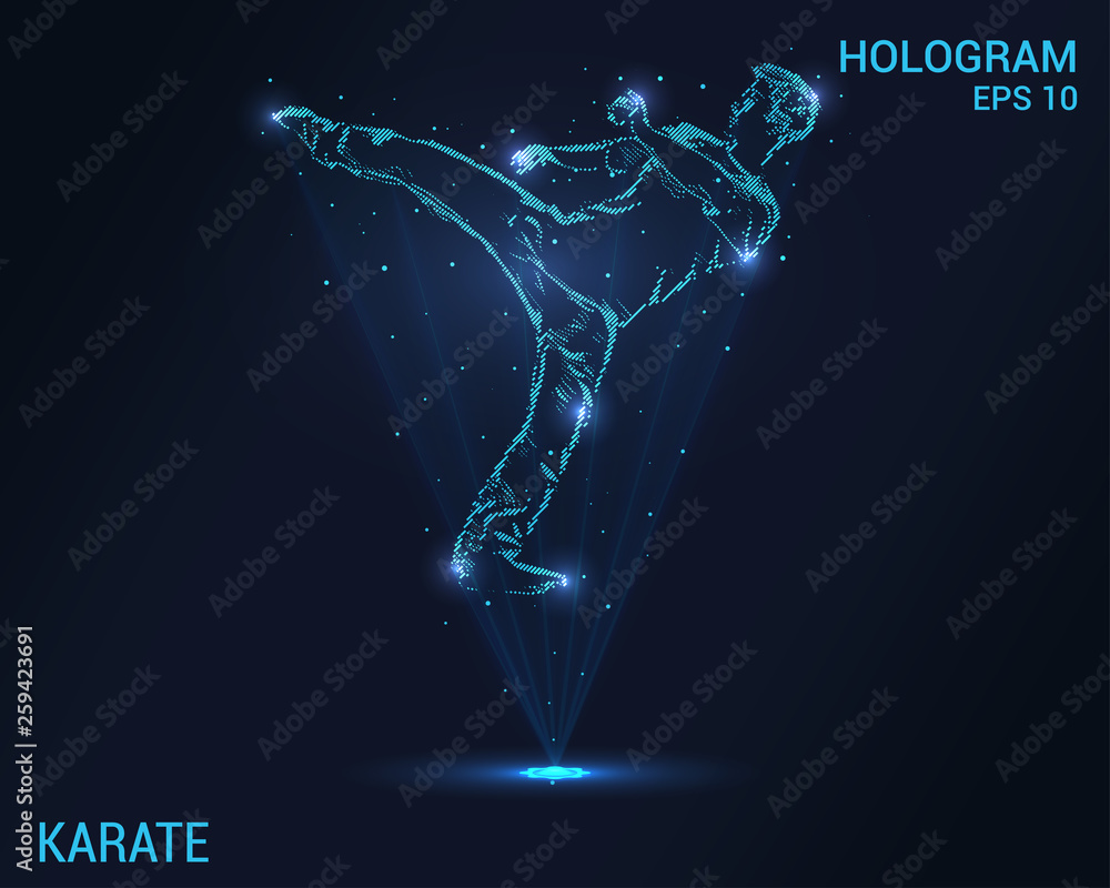 Karate hologram. Holographic projection of karate. Flickering energy flux of particles. Scientific design of karate.
