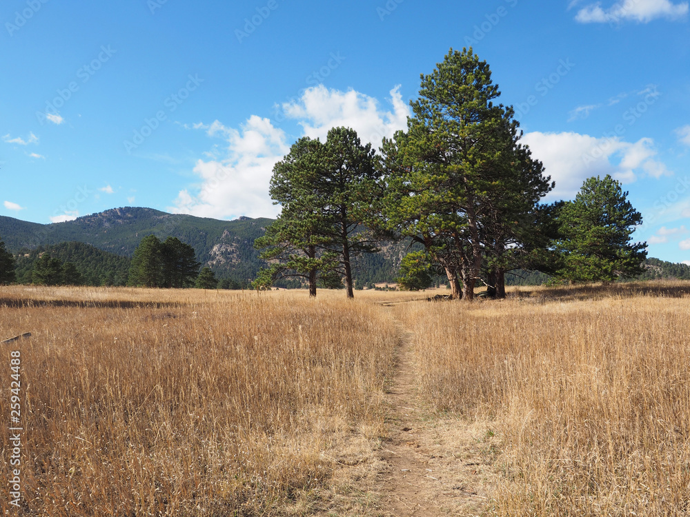 Elk Meadow Park in Evergreen, Colorado Elk Meadow Park in Evergreen, Colorado