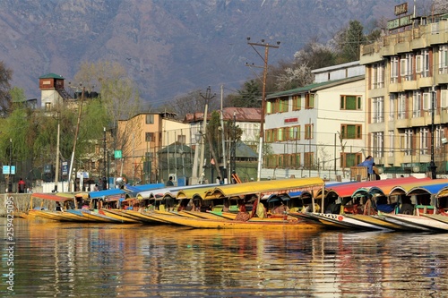 Shikara boats In Dal Lake photo