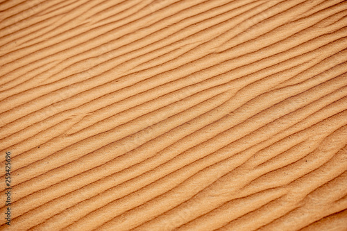 Form the desert sands