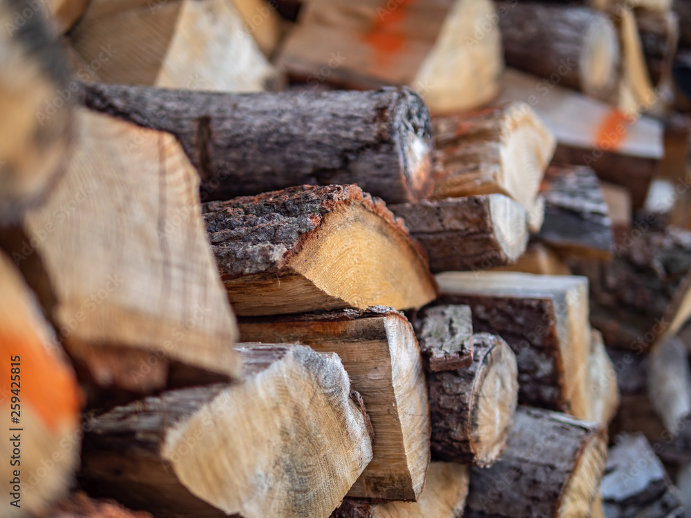 Dry chopped firewood logs ready for winter