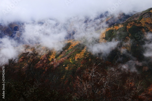 東北飯豊連峰　飯豊山山頂への道　秋　幻想的なダケカンバと紅葉 © DONDON2018