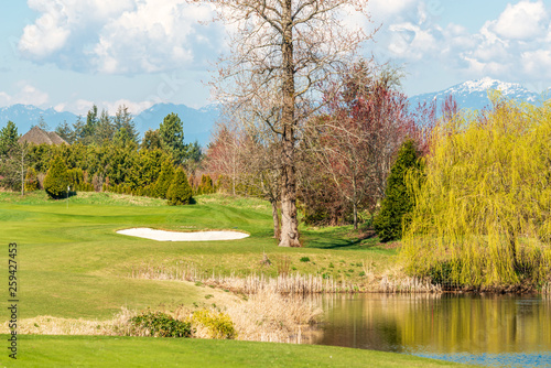 Golf course with gorgeous green and fantastic forest view. 