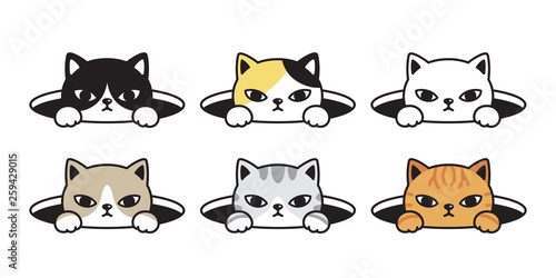 cat vector head calico kitten black white icon cartoon character hole doodle illustration