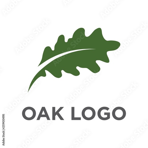 oak leaf logo vector design