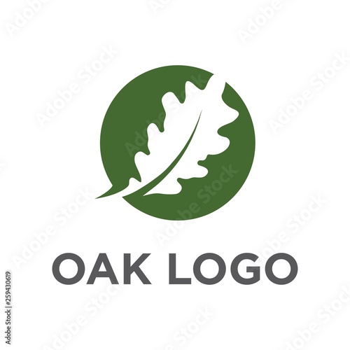 oak leaf logo vector design