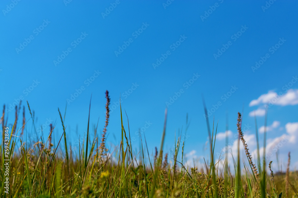 Green grassy damm with blue sky