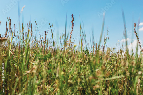 Green grassy damm with blue sky