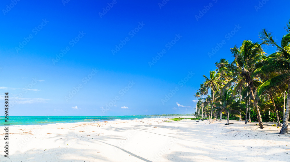 Fototapeta premium View on Caribbean tropical beach by Palomino in Colombia