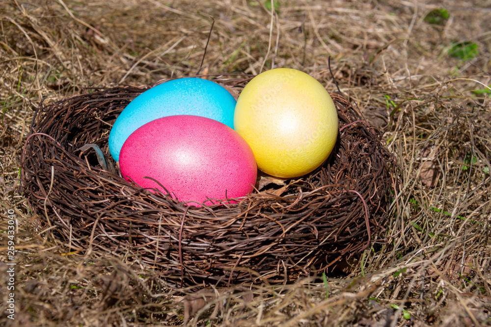 Painted Easter eggs in a nest on spring grass Painted Easter eggs in a nest on spring grass