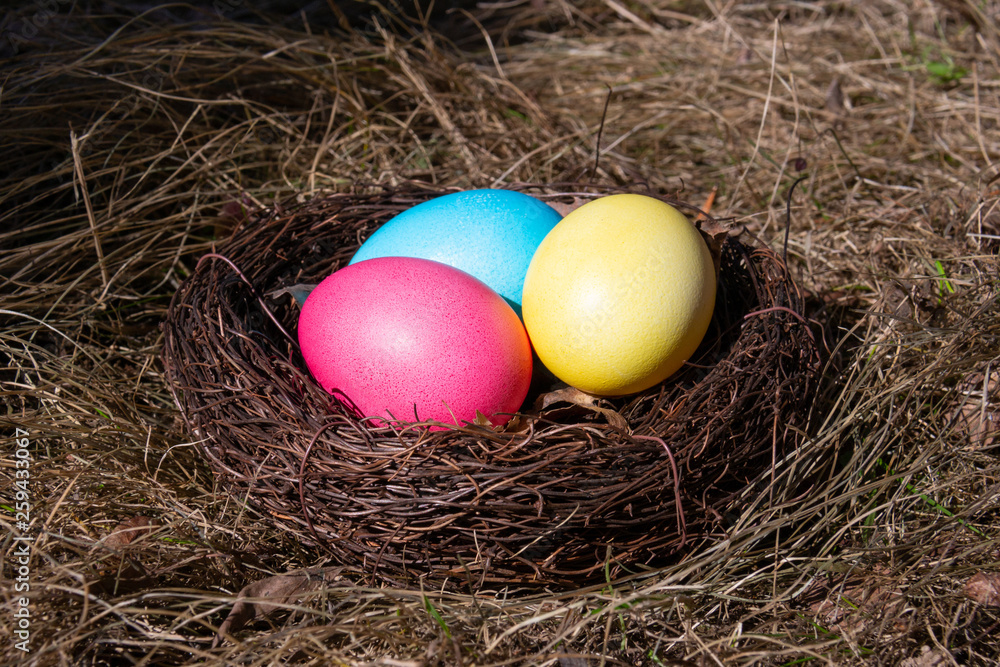 Painted Easter eggs in a nest on spring grass Painted Easter eggs in a nest on spring grass