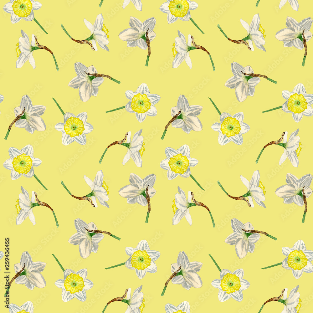Hand drawn watercolor seamless pattern of narcissus flowers, isolated on colorful background. Daffodil. Can be used for greeting cards, invitations, postcards, textile design.