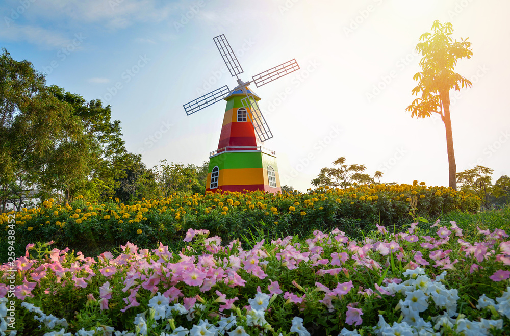 Landscape colorful flower garden and windmill on hill nature in the garden park