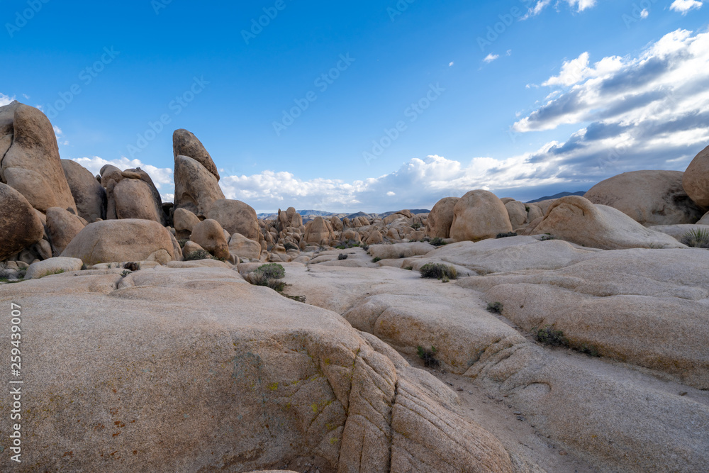 Large field of boulders along the Arch Rock trail in Joshua Tree National Park, during the late afternoon Large field of boulders along the Arch Rock trail in Joshua Tree National Park, during the late afternoon
