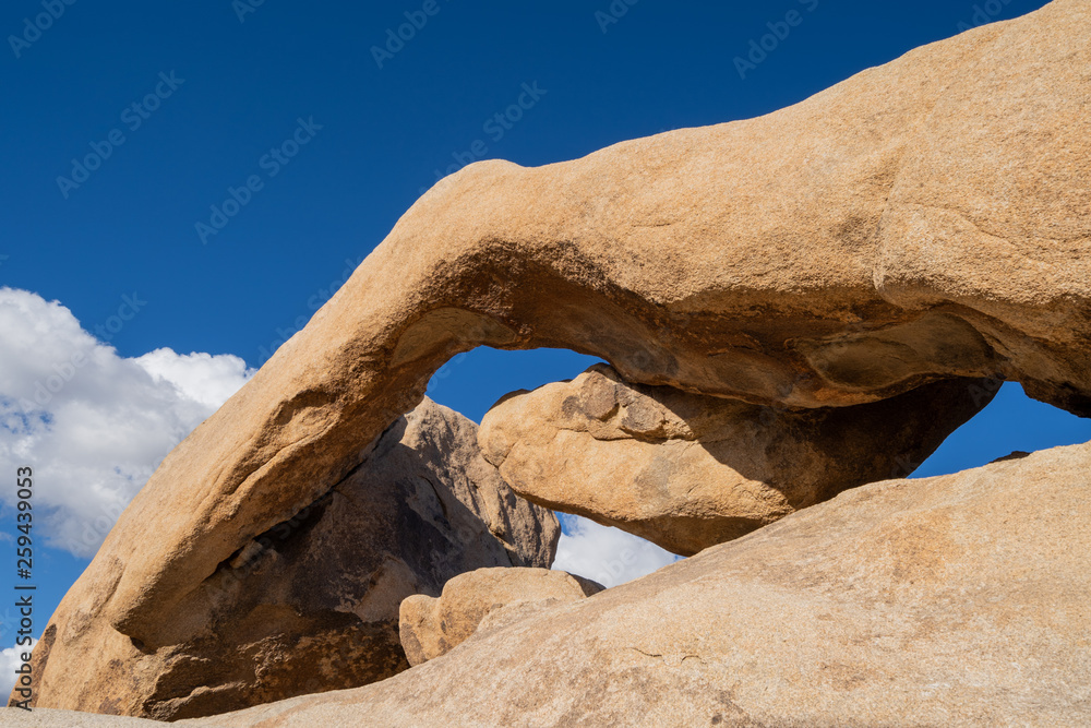 Beautiful view of Arch Rock in Joshua Tree National Park. Late Afternoon sunshine against blue sky Beautiful view of Arch Rock in Joshua Tree National Park. Late Afternoon sunshine against blue sky
