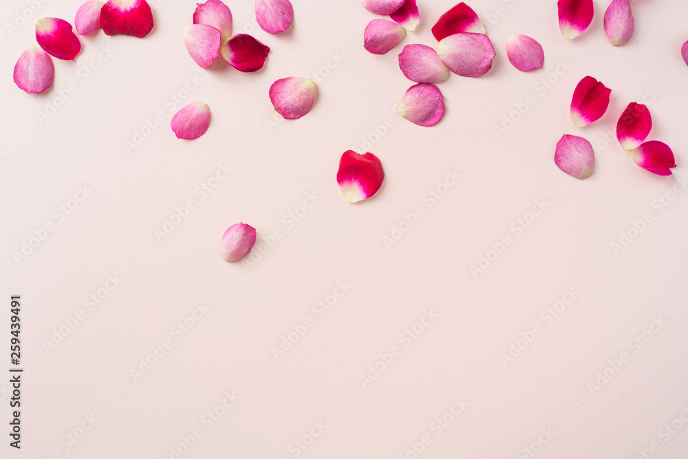 top close up view of red rose petal on pink