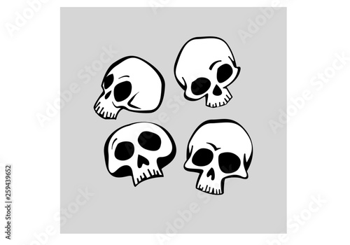 human skull in different angles. vector image for illustration