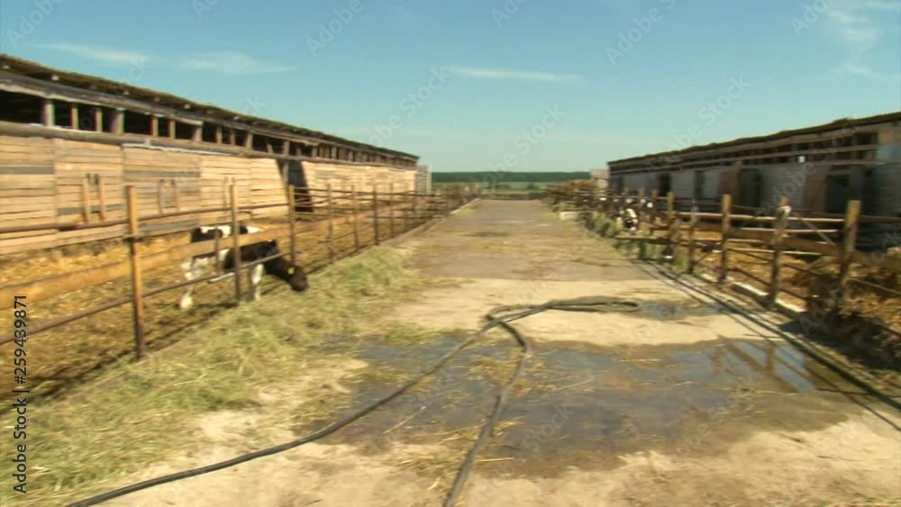 the empty paddocks of the farms. the crisis in the agricultural sector. animal epidemic the empty paddocks of the farms. the crisis in the agricultural sector. animal epidemic