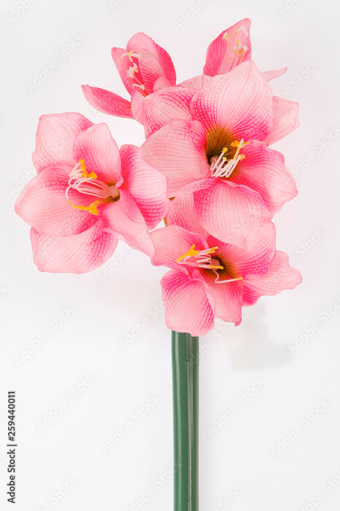 Fototapeta premium artificial flowers