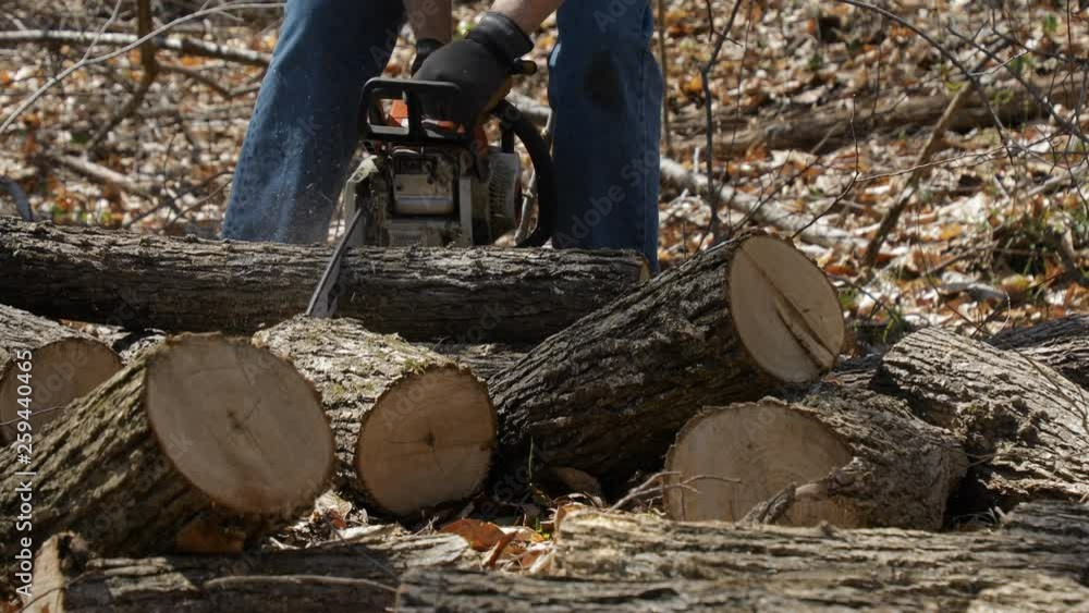 Man sawing logs with chainsaw close up view Man sawing logs with chainsaw close up view