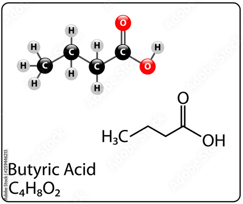 Butyric Acid Molecule Structure
