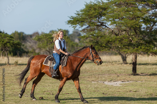 Attractive young blonde woman riding her horse © jacojvr