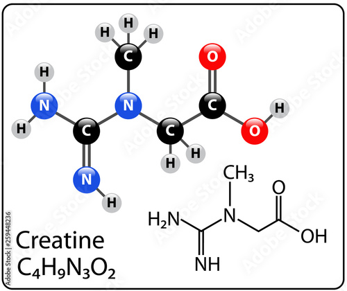 Creatine Molecule Structure