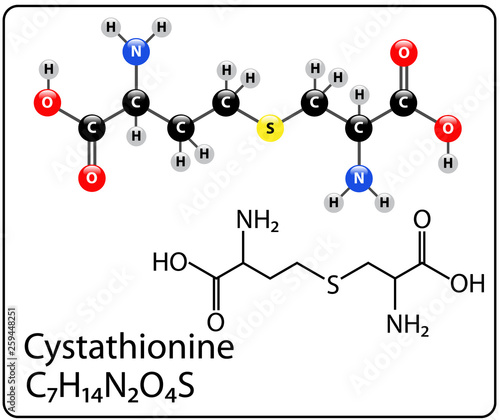 Cystathionine Molecule Structure