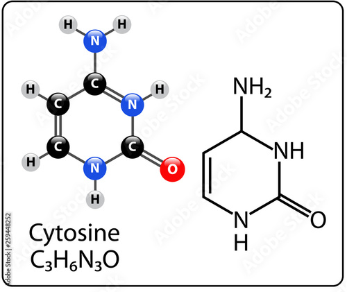 Cytosine Molecule Structure