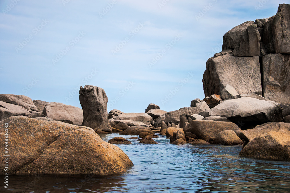 color photo of sea stones of strange abstract dog shape color photo of sea stones of strange abstract dog shape