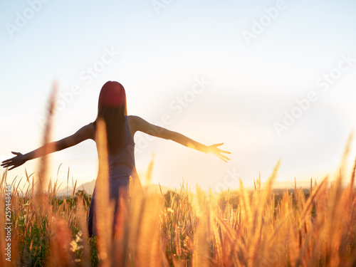 Fototapeta Naklejka Na Ścianę i Meble -  Beautiful Young Woman in a field.