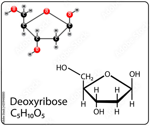 Deoxyribose Molecule Structure