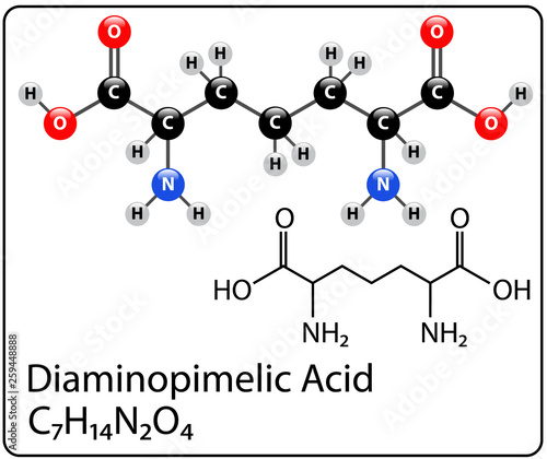 Diaminopimelic Acid Molecule Structure