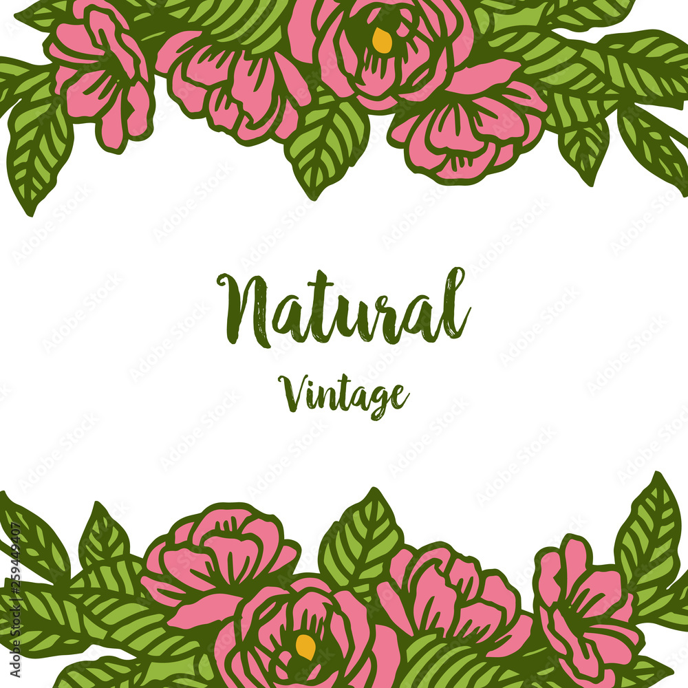 Vector illustration template natural vintage with beauty of leaf rose flower frame