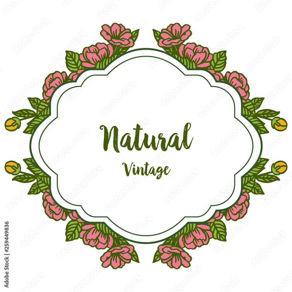 Vector illustration invitation card natural vintage with texture of rose pink flower frame