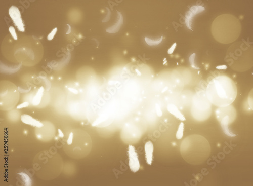 Gold light and sparkle effect with feathers light on gold background