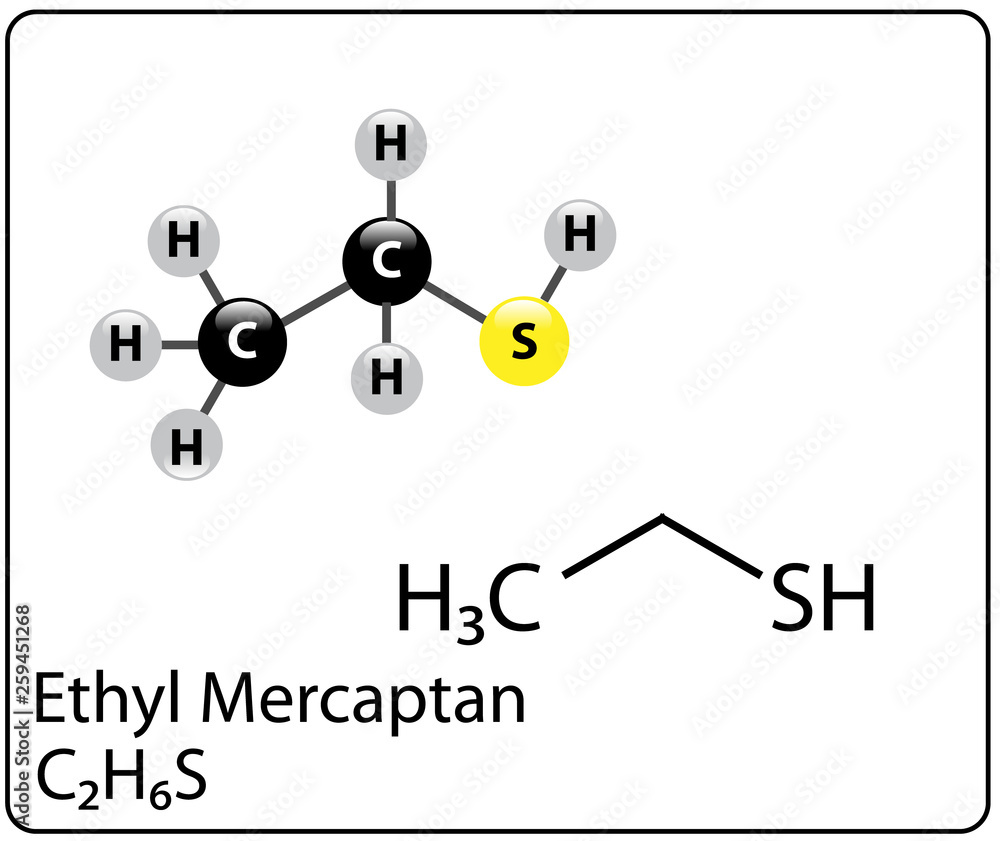 Ethyl Mercaptan Molecule Structure Ethyl Mercaptan Molecule Structure
