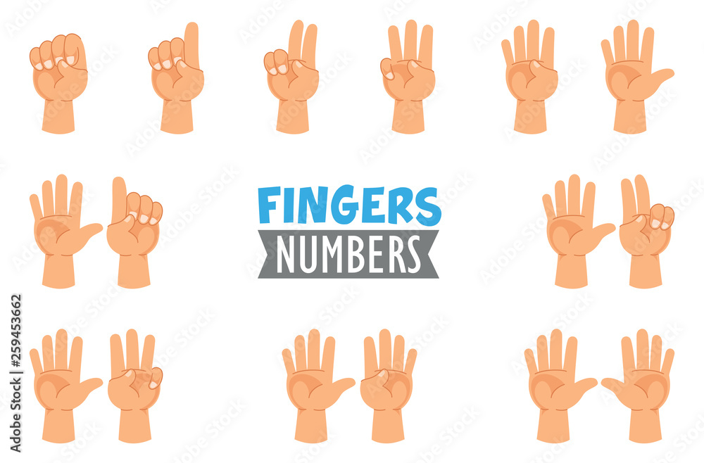 Fototapeta premium Vector Illustration Of Hand Gestures
