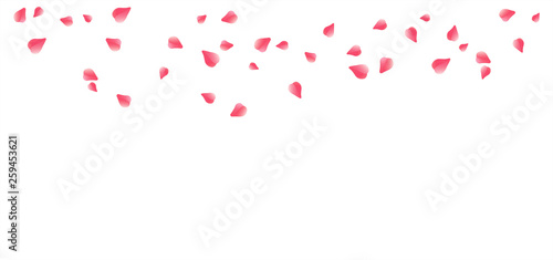 Pink Red flying petals isolated on white. Sakura Roses petals. Vector