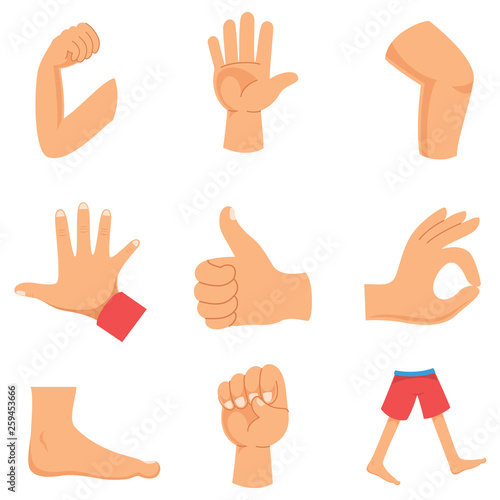 Vector Illustration Of Human Body