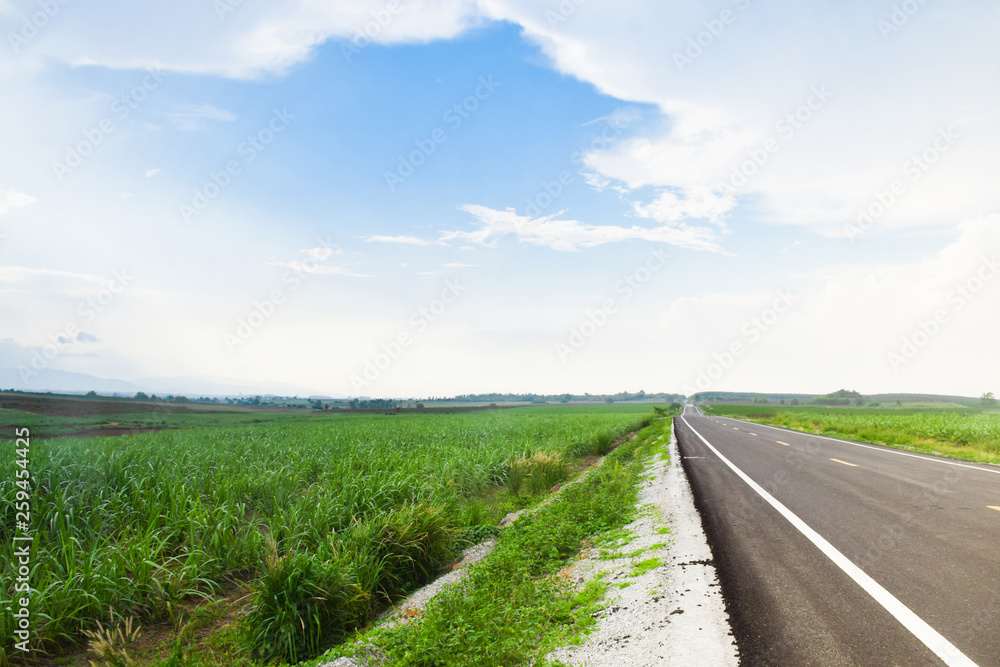 Asphalt road in countryside on beautiful day