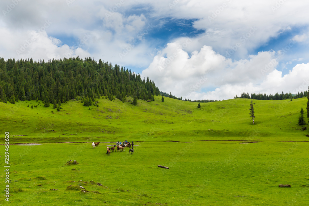 Pristine valley and mountain meadow in a remote rural area in Romania