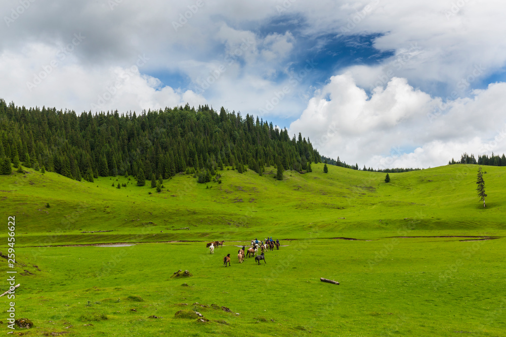 Pristine valley and mountain meadow in a remote rural area in Romania