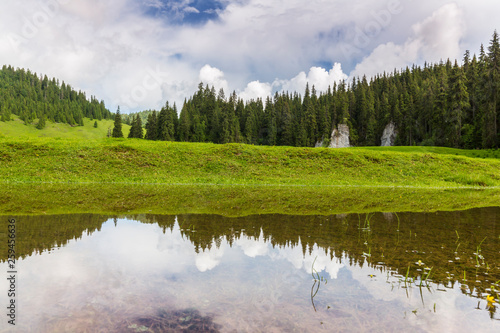 Fototapeta Naklejka Na Ścianę i Meble -  Beautiful meadow in the mountains in summer, on a bright day