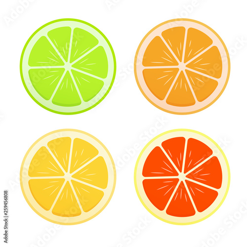 Set of citrus. Lemon, lime, grapefruit, orange. Lobules Flat realism style. Cartoon style. Vector illustration.