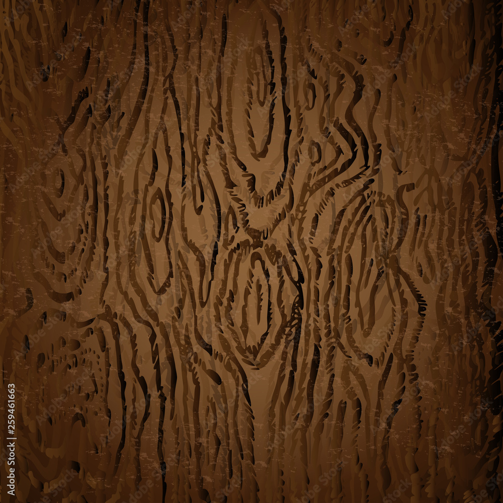 brown Texture of Dark Wood Vector Image