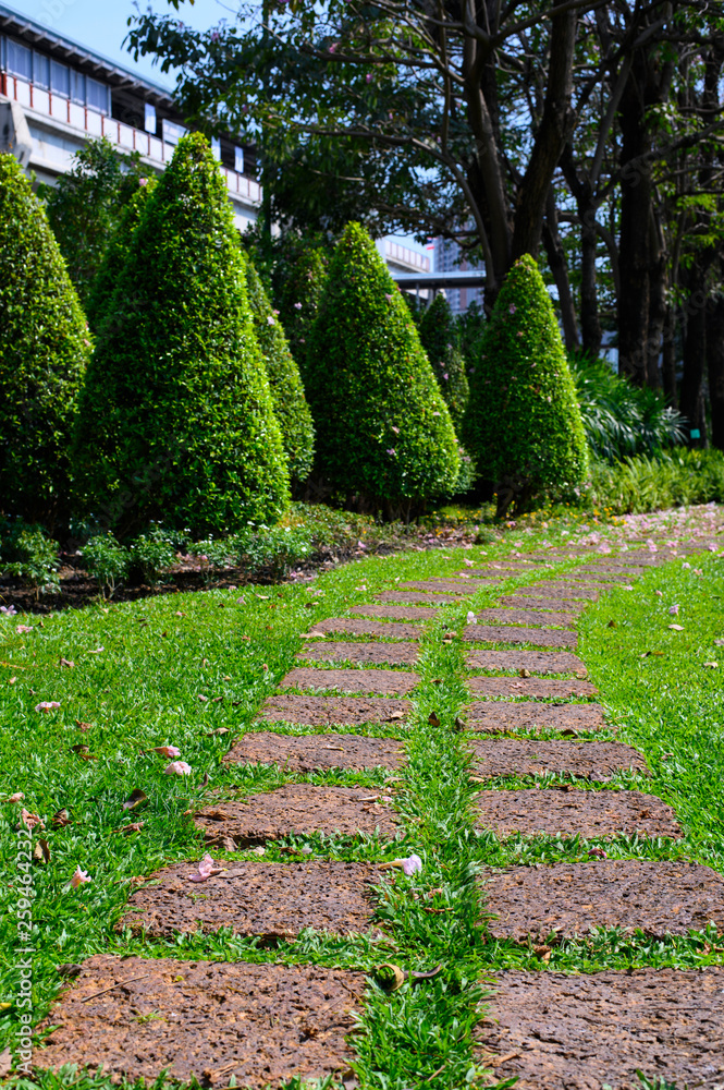 Pathway stones on green grass in the garden Pathway stones on green grass in the garden